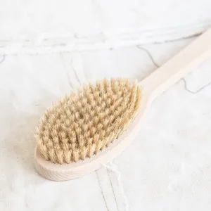 Bath Brush