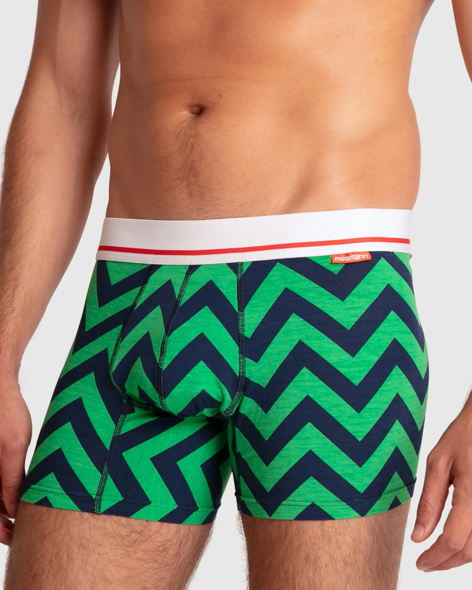 Mens Bamboo Trunks  - Hudson